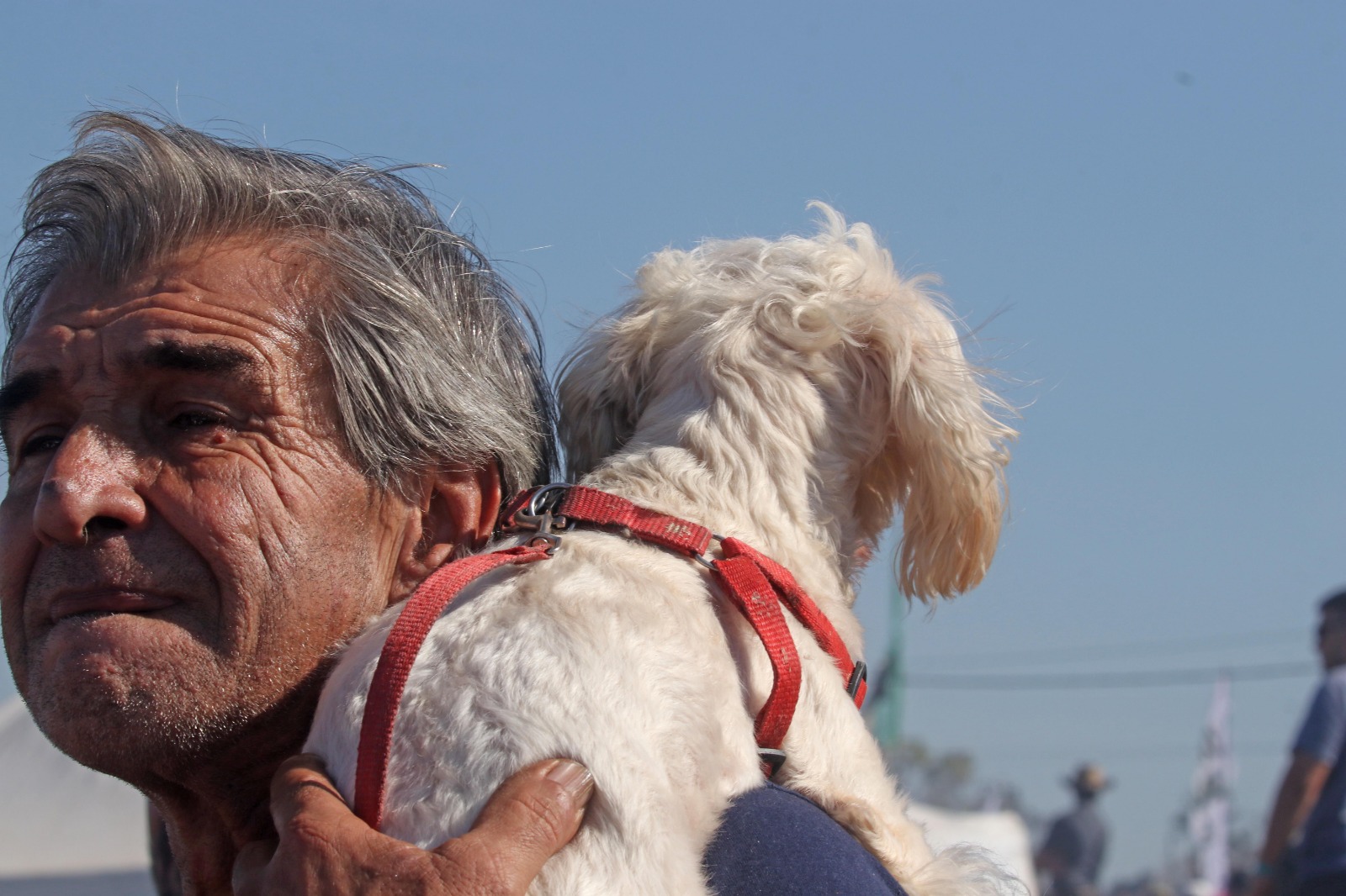 Las mejores fotos del TC en Posadas: IMG-20230702-WA0077.jpg