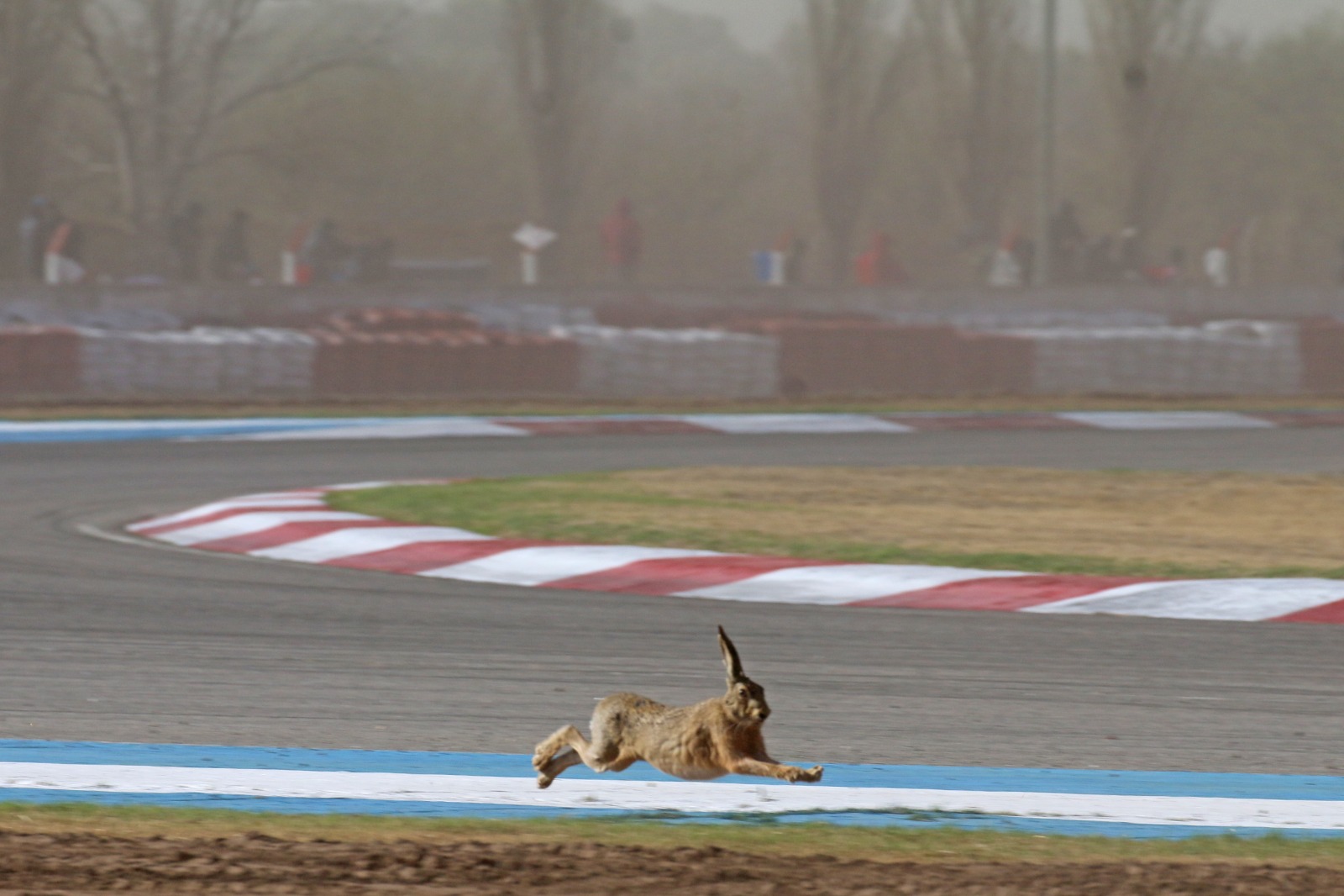 Galería de imágenes del domingo en el foco de Berna Bosco: 59.jpeg