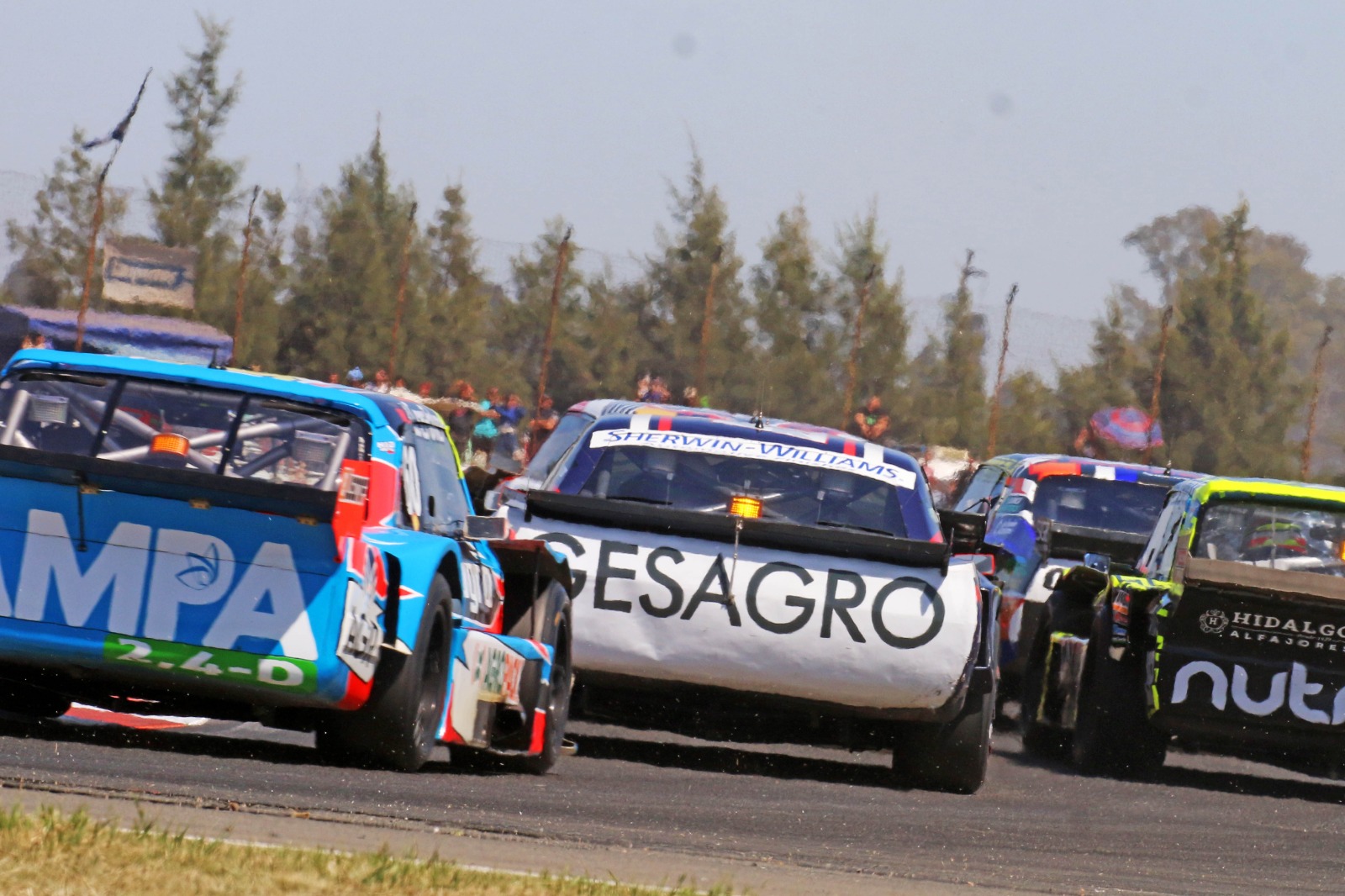 LAS MEJORES IMÁGENES DESDE EL FOCO DE BERNA BOSCO: 19.jpeg