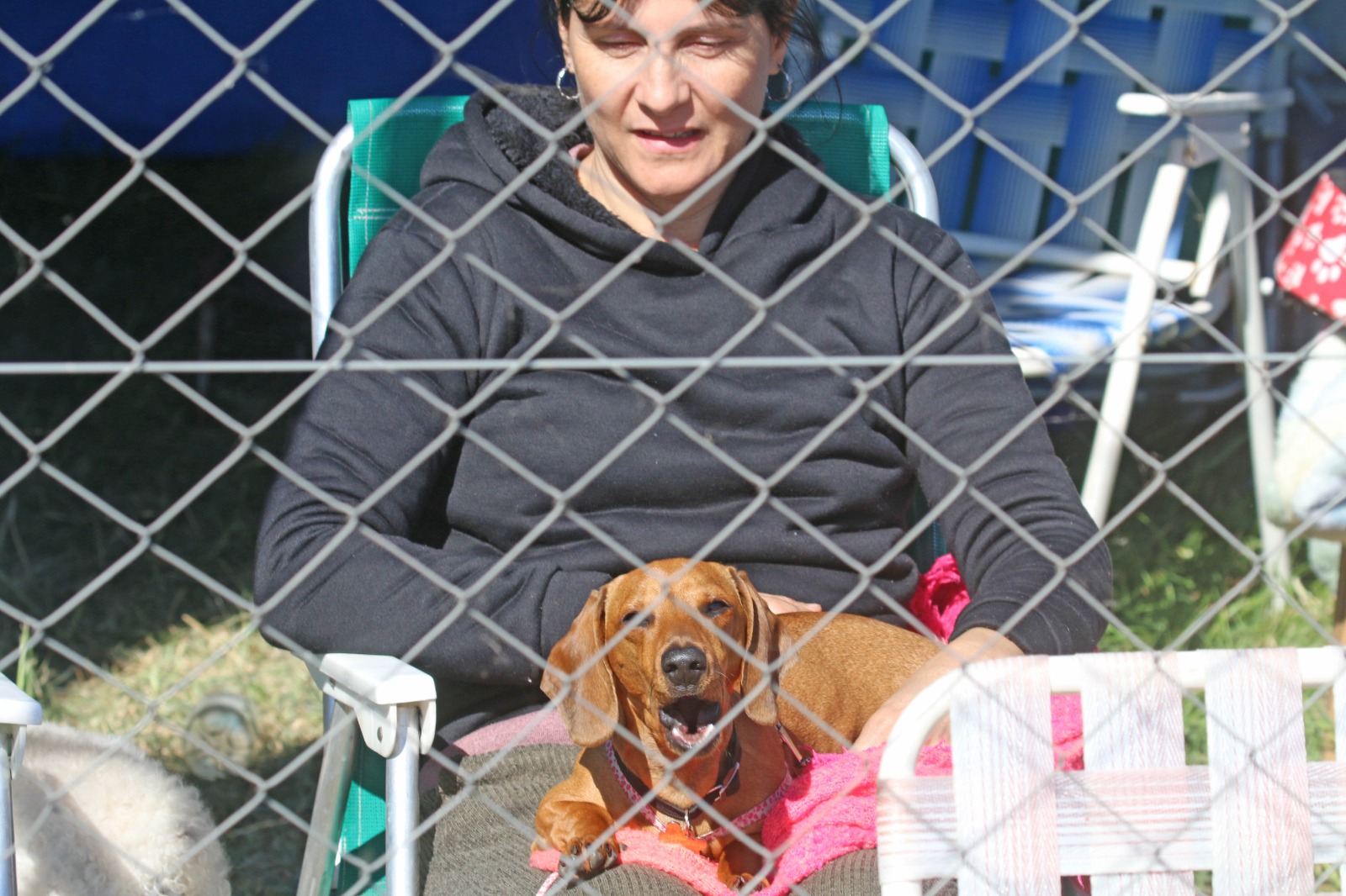 LAS MEJORES IMÁGENES DESDE EL FOCO DE BERNA BOSCO: 29.jpeg