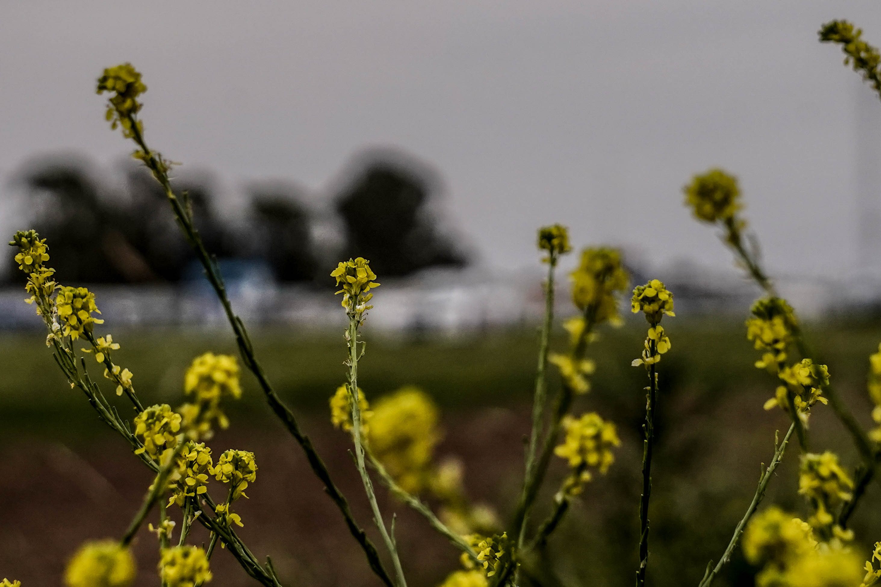 Todo el color del paso del Top Race por Río Cuarto: DSC09732.jpg